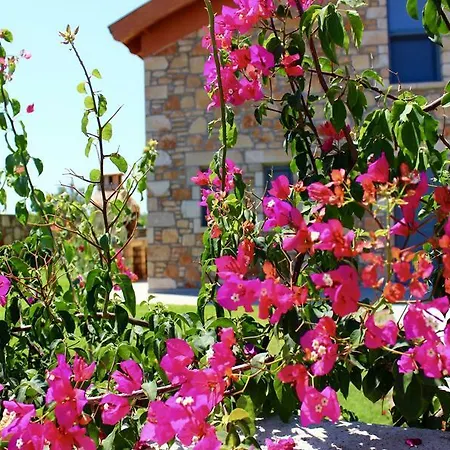 Estrella Villa Lárdosz