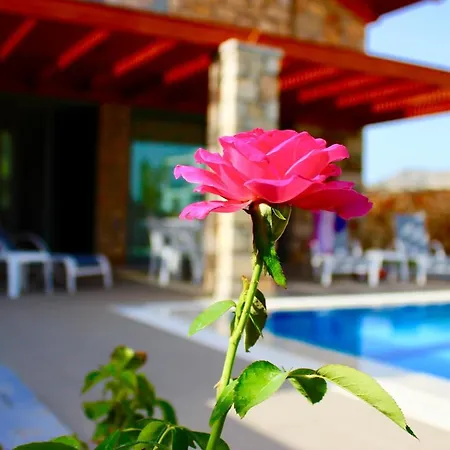 Estrella Villa Lárdosz