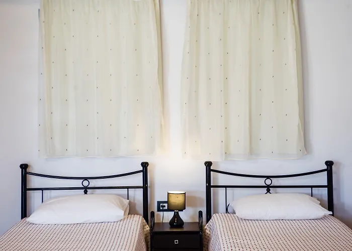 Estrella Vila Lardos