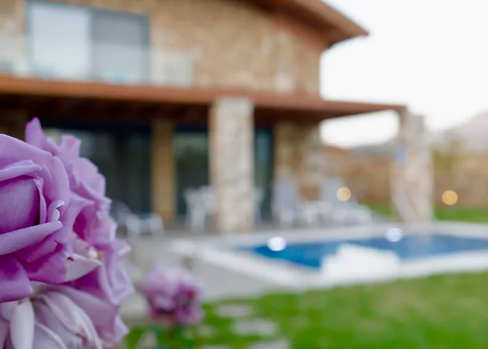 Estrella Vila Lardos