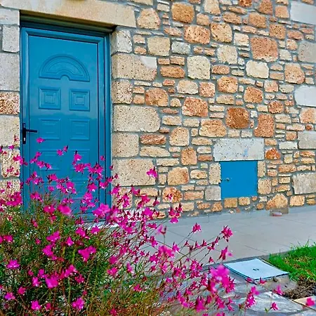 Estrella Villa