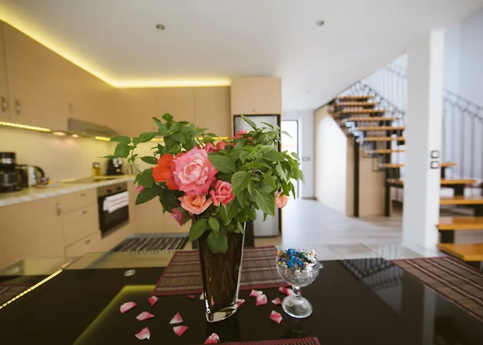 Estrella Vilă Lardos