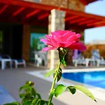 Estrella Villa Lardos
