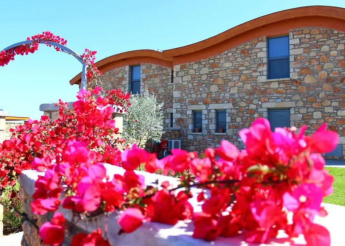 埃斯特雷亚别墅 *