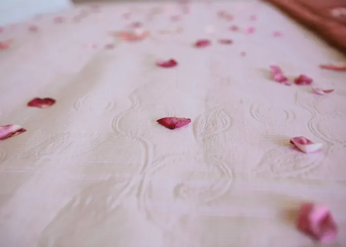 埃斯特雷亚别墅 别墅