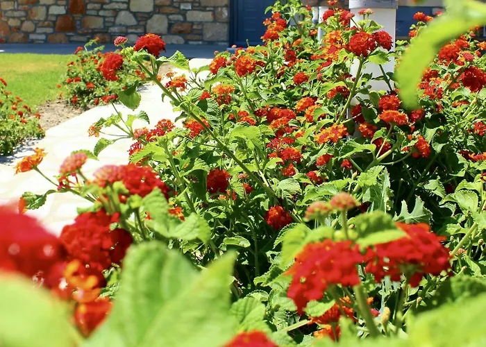 埃斯特雷亚别墅 别墅